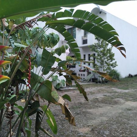 Departamentos De La Reina Roja Leilighet Palenque Eksteriør bilde